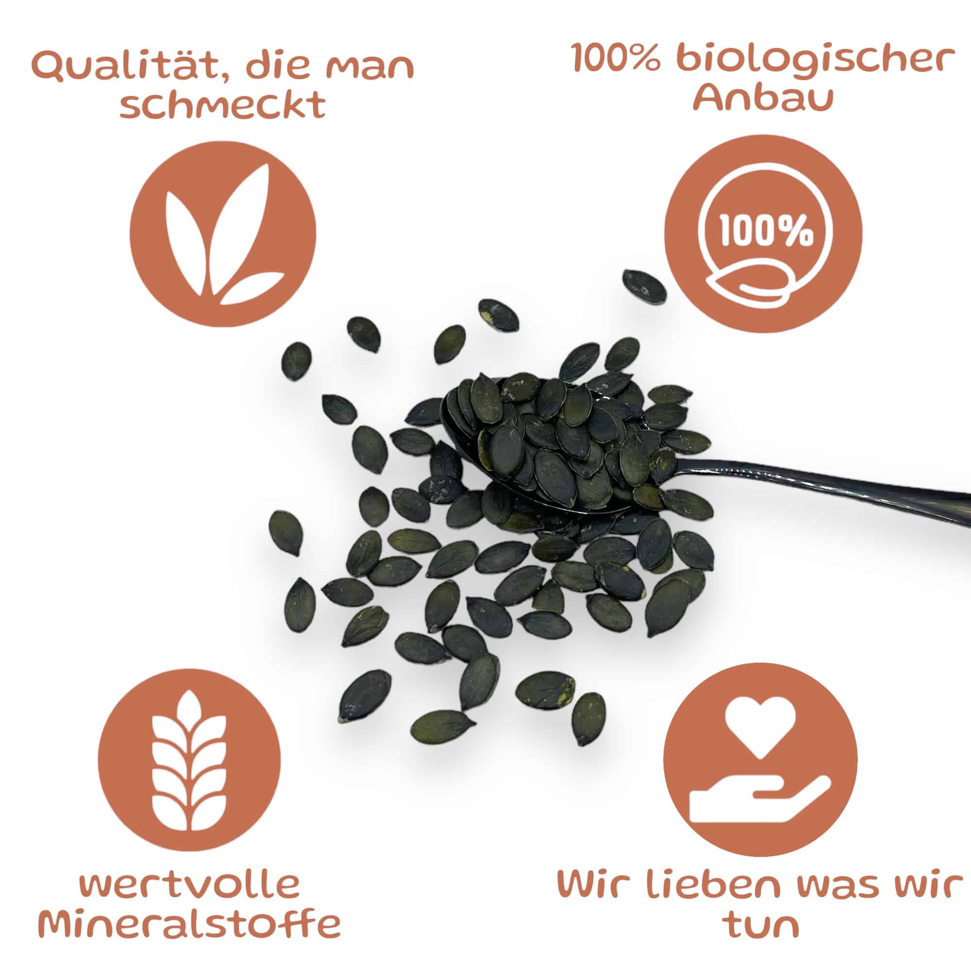 Bauernladenhelene – Bio Kürbiskerne, 1kg