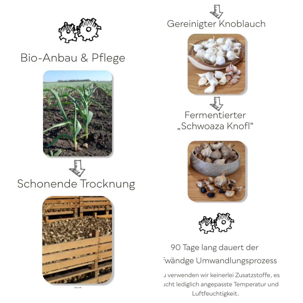 Bauernladenhelene - Bio Schwarzer Knoblauch, 2 Stück per Packung